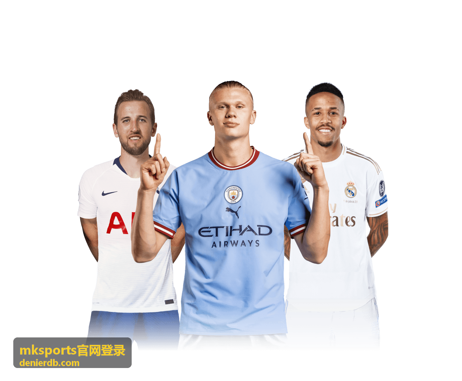 mksports官网登录 功能导航说明